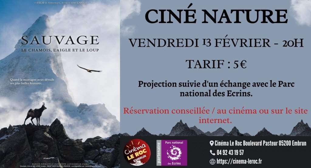 actualité CINE NATURE - SAUVAGE, LE CHAMOIS, L'AILE ET LE LOUP