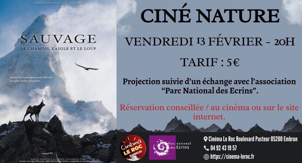 actualité CINE NATURE - SAUVAGE, LE CHAMOIS, L'AILE ET LE LOUP