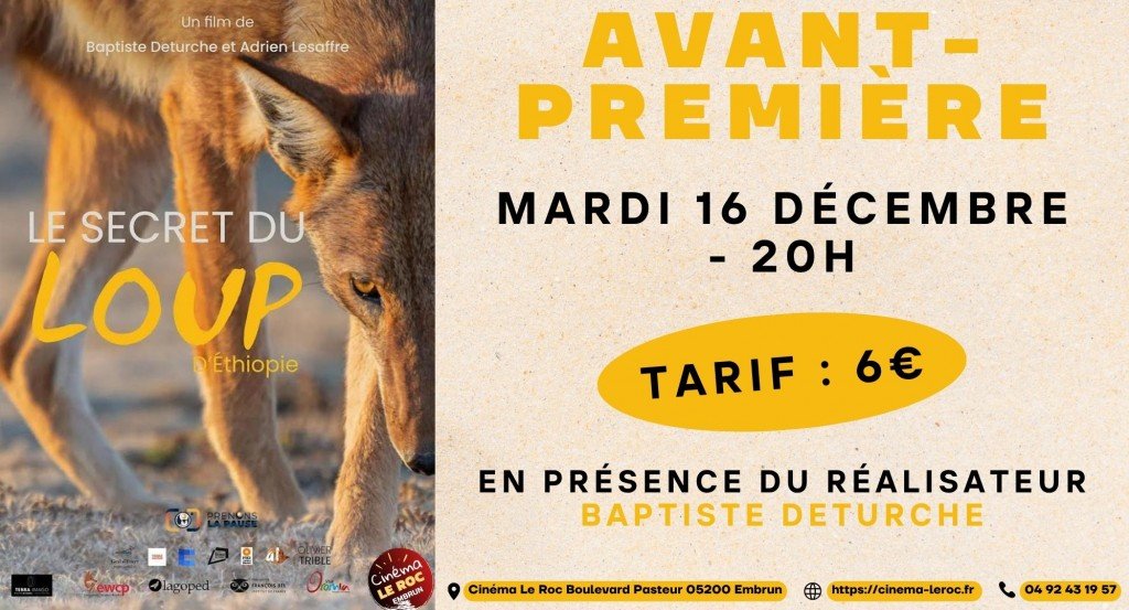 actualité A.P LE SECRET DU LOUP D ETHIOPIE